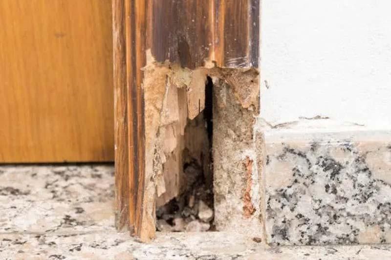 Door Rot Repair in Dallas